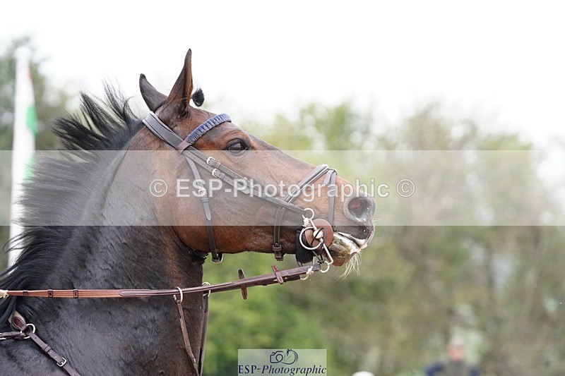 250426-130550-13062 - Cls 23 - 1 Star Gold Tour