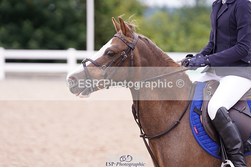 250629-114154-10958 - Cls 36 Pony Discovery & 90cm Open