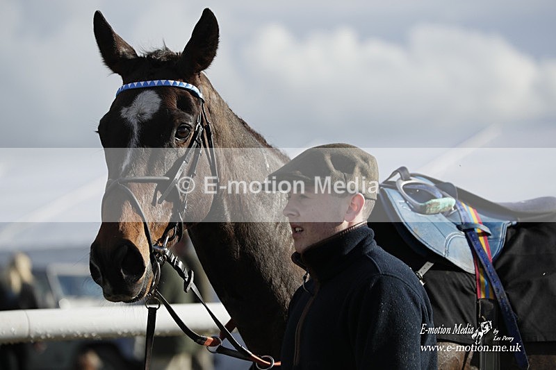 PtP 180323 1330 - Shelfield Park Races with Croome & West Warwickshire Hunt  18/03/23