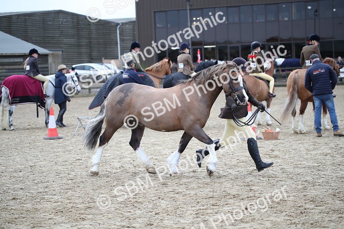 SBM_006169 - Class 10-13 - RIHS Small Large Breeds