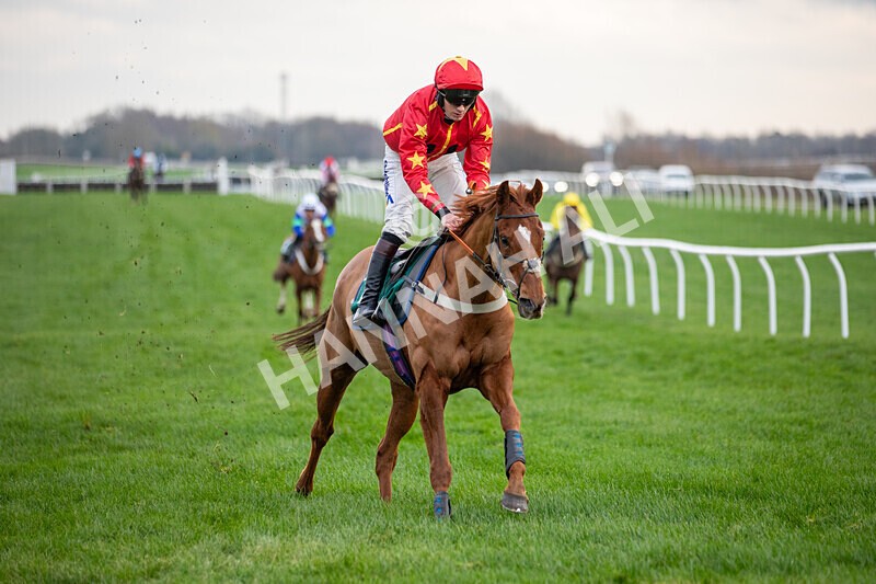 171224-Race 4-Wise Eagle-0206 - Race 4