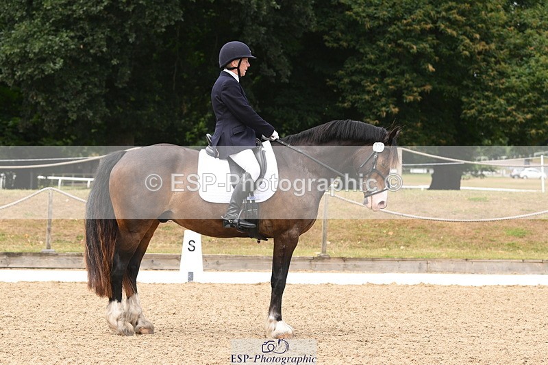 250720A-120201-10137 - 079-Amanda.Williams-Llanarth.Westminster