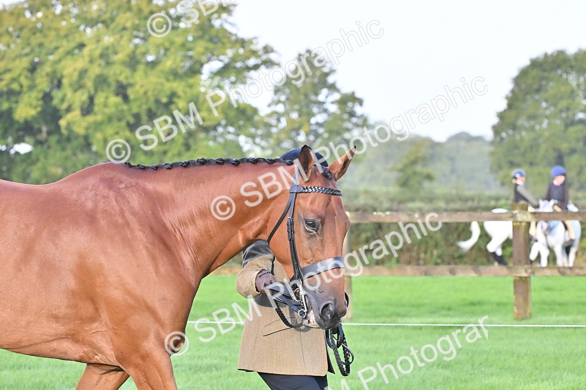 SBM_32562 - S15 - Top Turnout In Hand