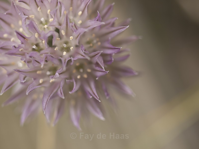  - Nature's Wonders