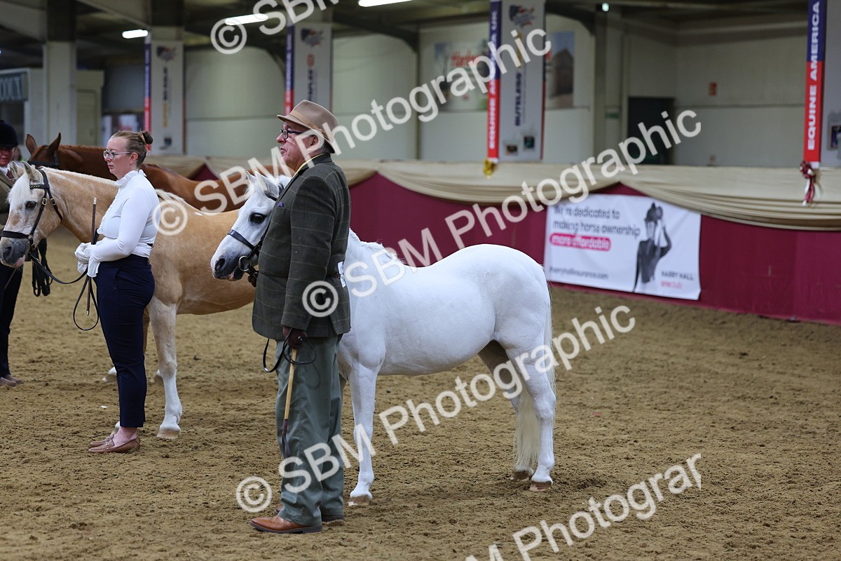 SBM_19473 - Class 901 - Supreme Final - IH Diamond