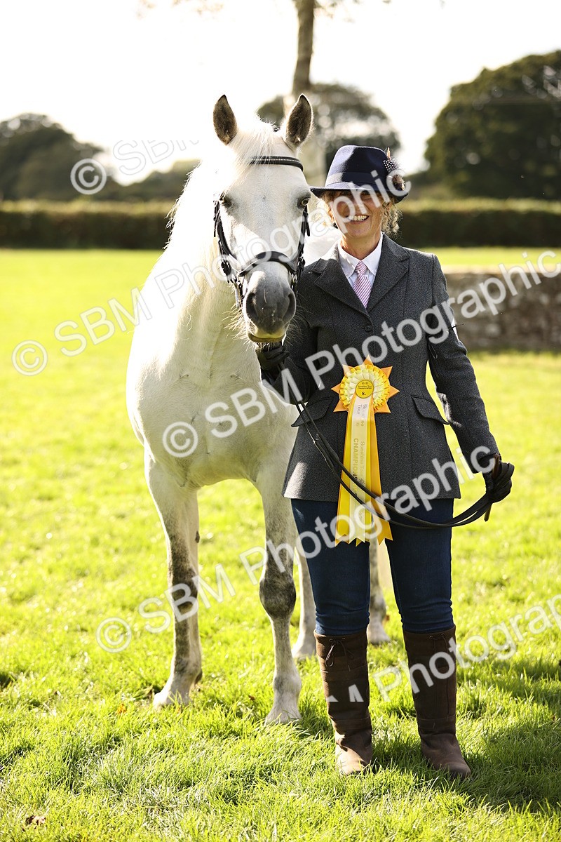 SBM_26292 - S5 - Novice & Newcomers In Hand