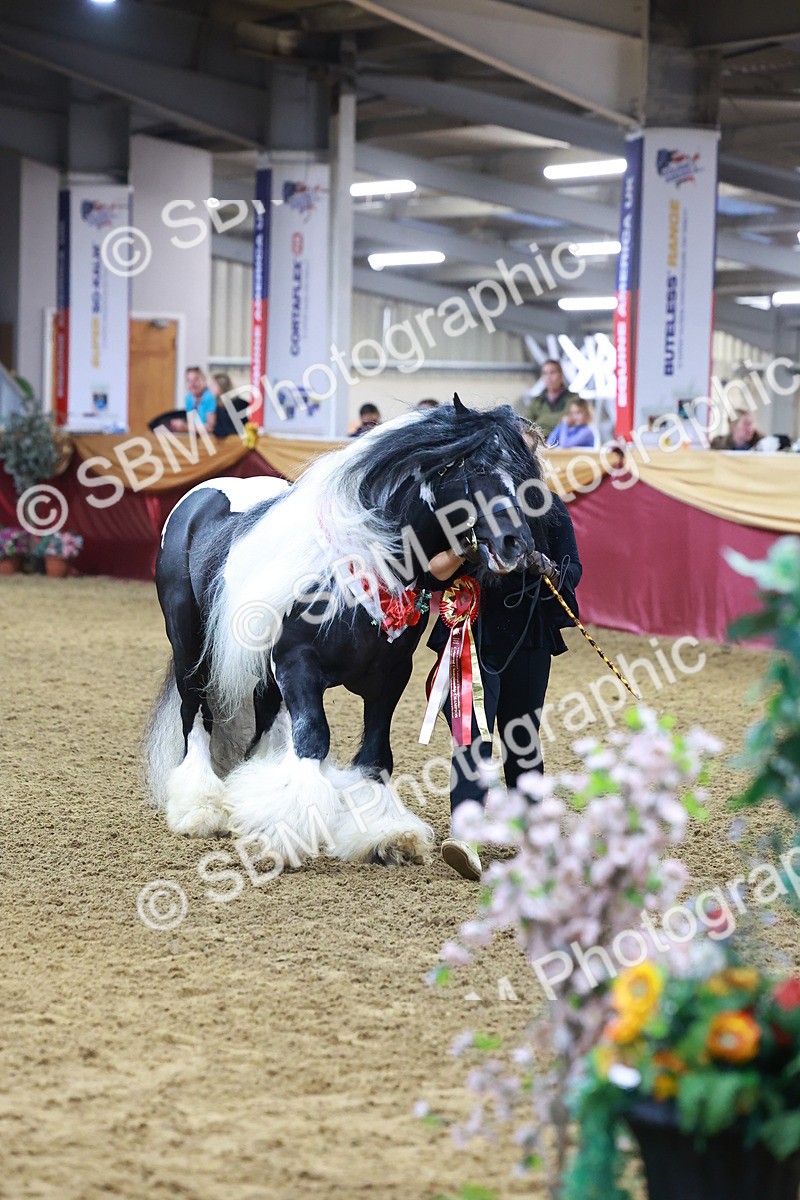 SBM_14941 - Class L - Coloured Champ