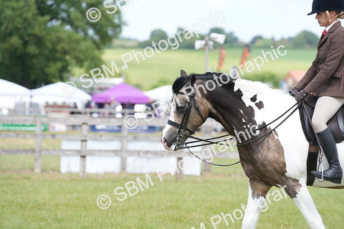 SBM_17233 - Class 107-108 - LIHS BSPS Performance Coloured Horse Pony