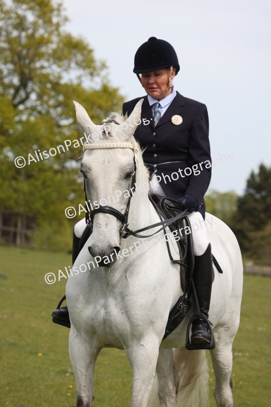 20260426-4366 - Class 34 - Best Riding Horse Over 14.2hh