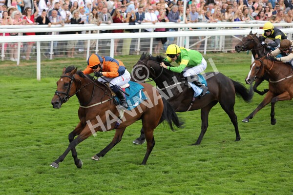 yr23072022r7-18 - Race 7 5.35pm Sky Bet Paying Extra Places Stakes