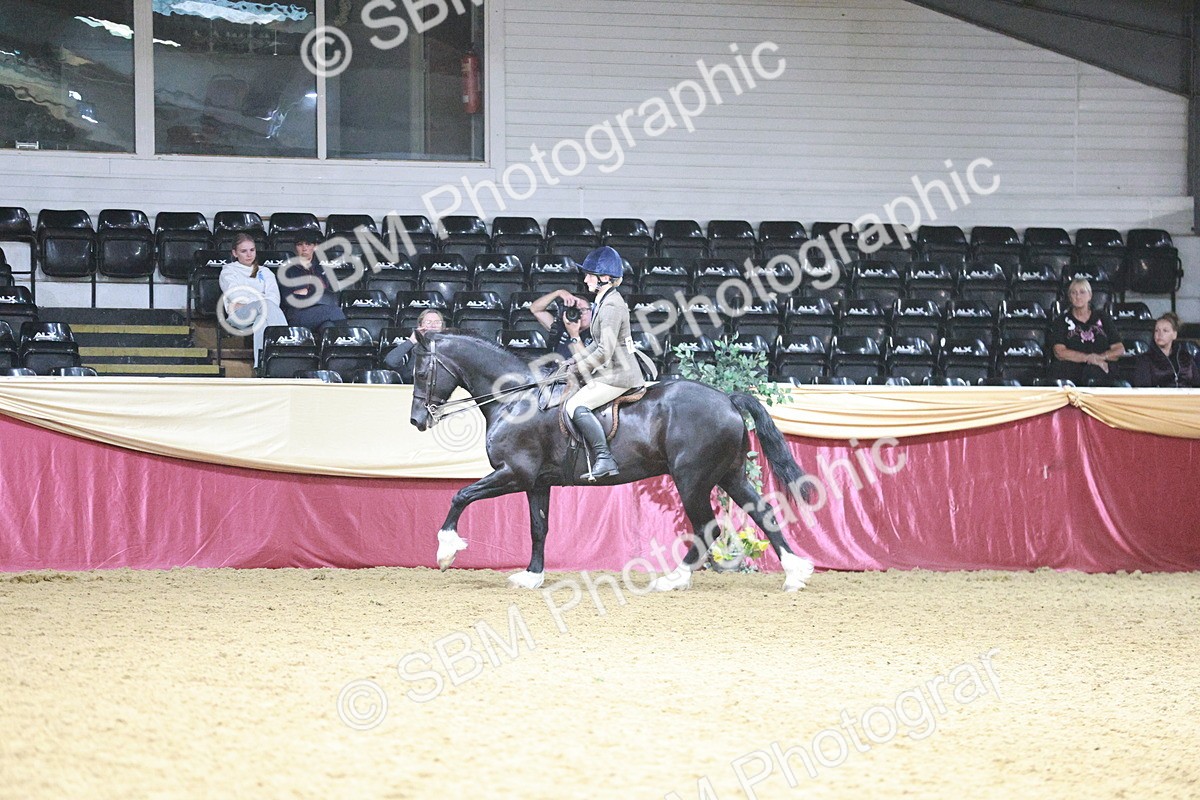 SBM_03500 - Class 6A Area Ridden Pre-Vet
