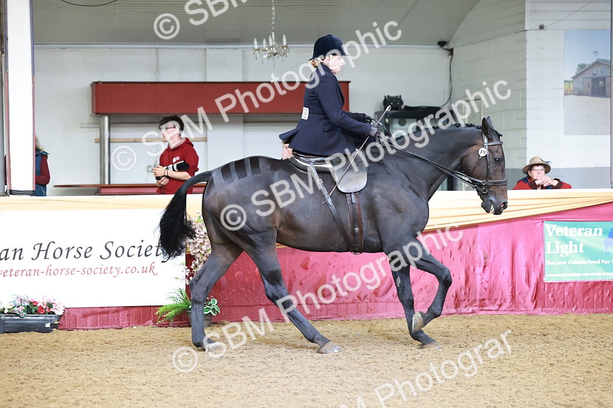 SBM_11816 - Class 102 - Equitation (Best Rider) Adult