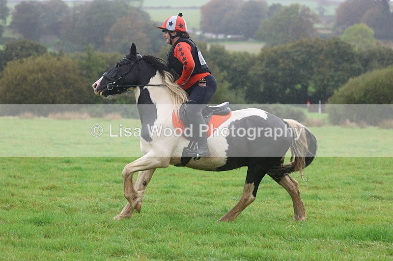 3E7A1014 - Class 1: 65cm: Rails