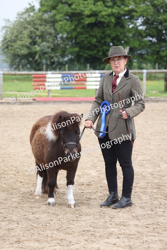 20260504-0538 - Class 4 - Minitures and Shetlands