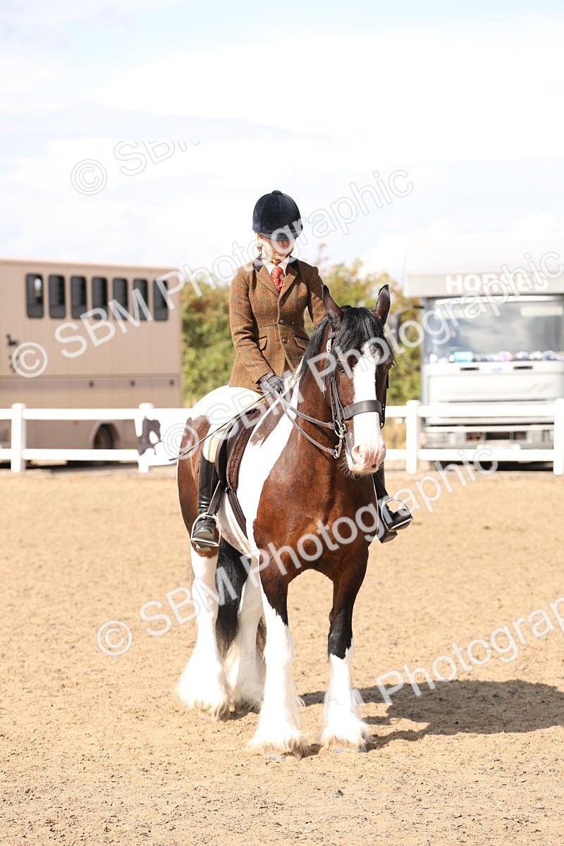 SBM_07320 - Class 58b -  Style & Performance - 70cm (20+)