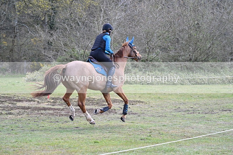 WJ7_1168 - Time 12:16 to 12:49