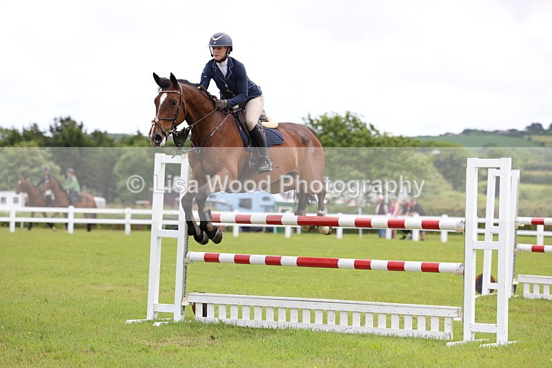 3E7A7131 - Class 12: Senior Foxhunter/1.20 open