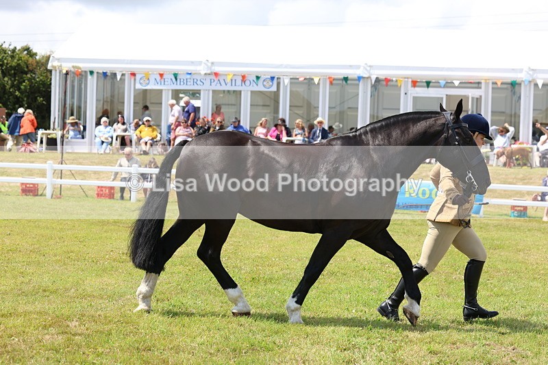 3E7A2180 - Class 10: Open Cob