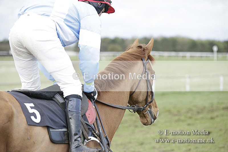 PtP 150320 0652 - New Forest Point-to-Point Larkhill 15/03/20