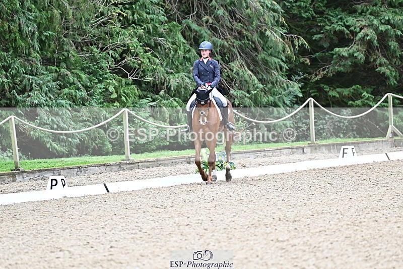 251022A-144754-00128 - C-206-Madison.Tapner