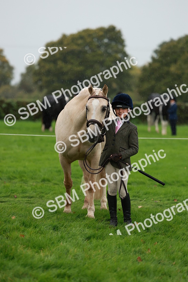 SBM_34906 - S10 - Best In Hand Horse & Pony