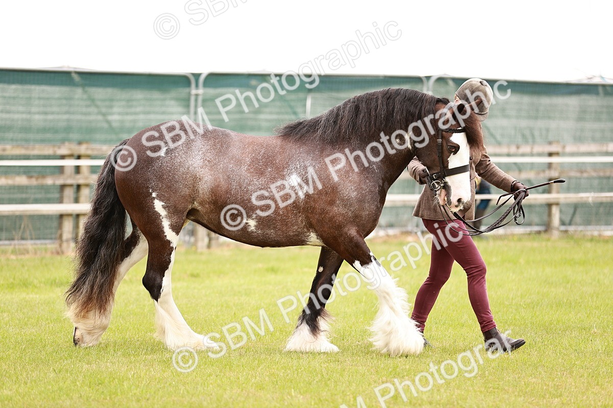 SBM_04628 - Class 5-8 - BSPA In hand