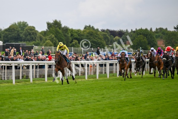 120724-Race 5-Sisyphean-6226 - Race 5 4.20pm George Blades Memorial Handicap