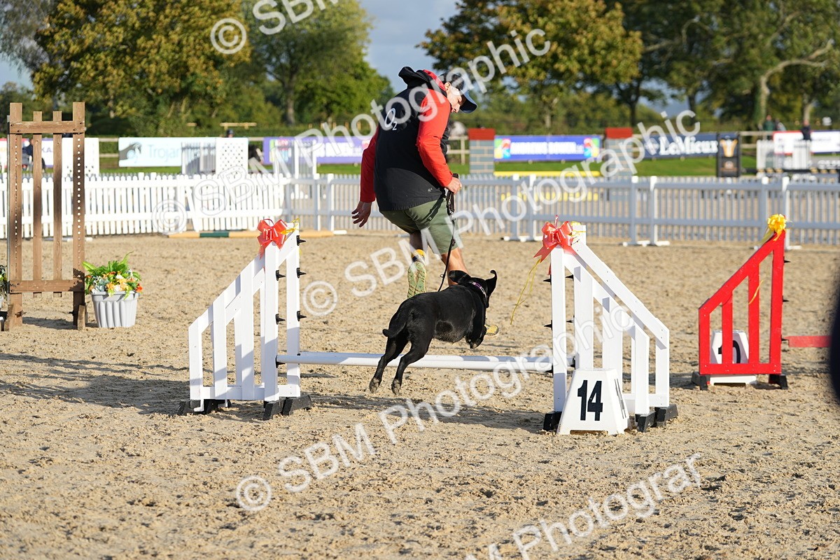 SBM_29376 - J44 - Horse & Hound Open 70cm