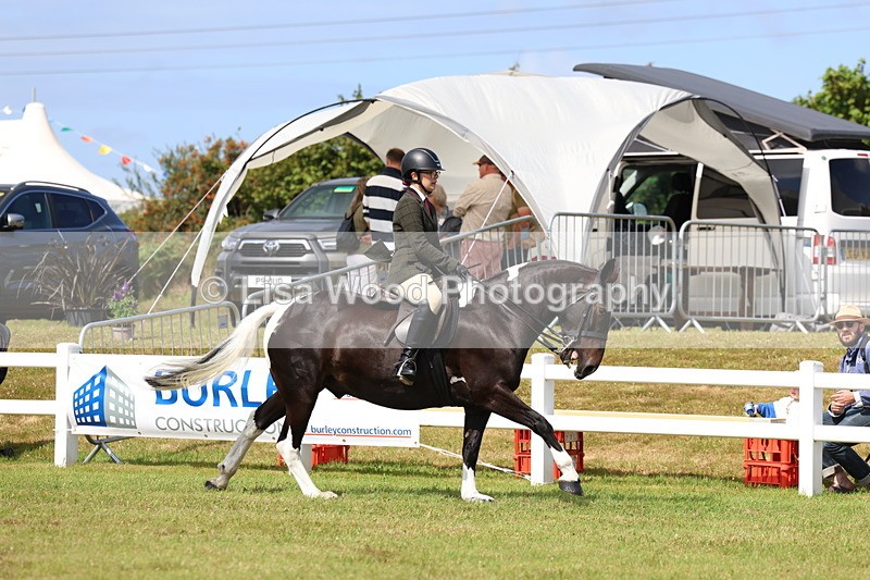 3E7A9840 - Class 5: Rising Star Lightweight/Heavyweight Cobs