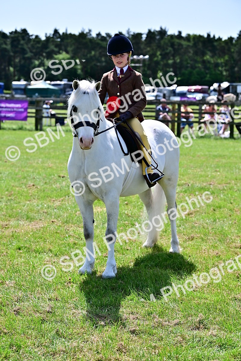 SBM_06123 - Class 59-60 - TSR M&M  Lear Rein and First Ridden Amateur of the year