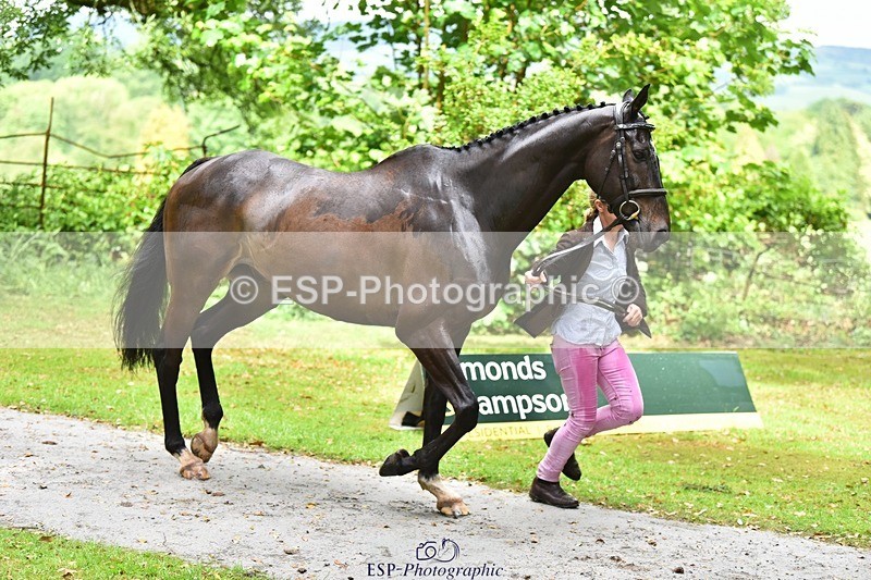 240522-153904-00503 - 370-STORM_IN_DECEMBER-Claire_Fielding