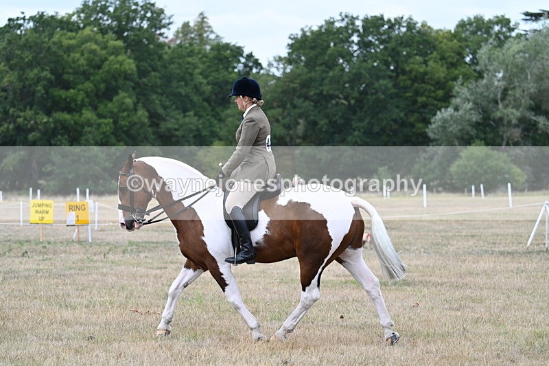 WJ7_4966 - Class 12 Ridden Cob