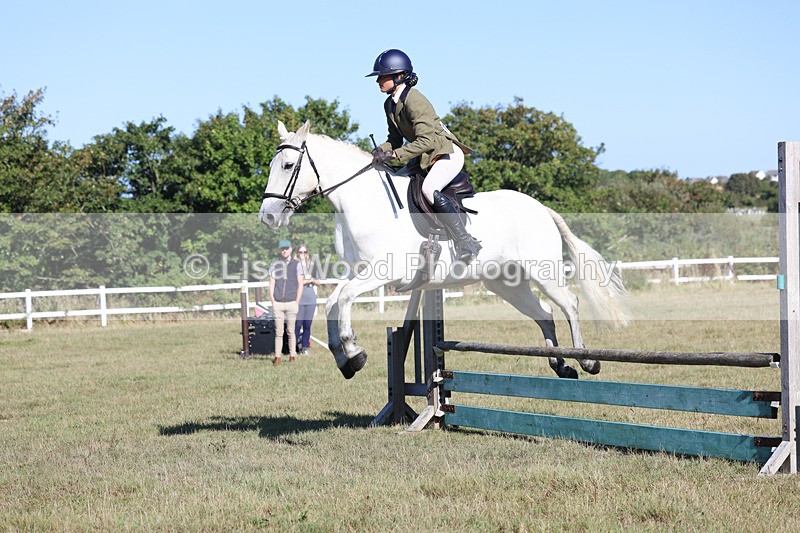 3E7A5415 - Class 3: Working Hunter 70cm