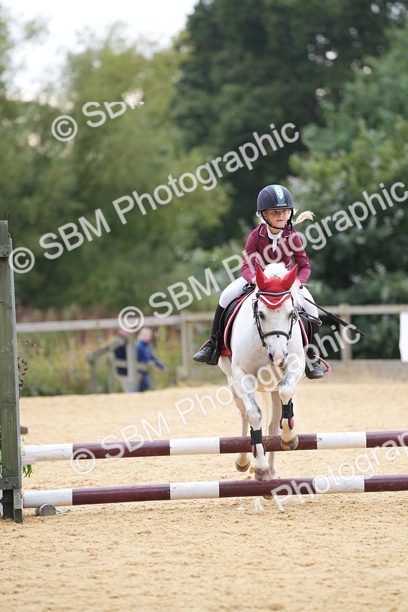 SBM_74605 - J4 - Mini Tour Junior Pony 45cm Championship