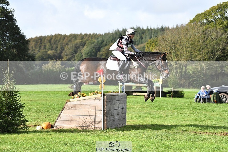 231020-115723-07268 - 057-OVERTON.TILANA'S.GOLD-Claire.Deuten-XC