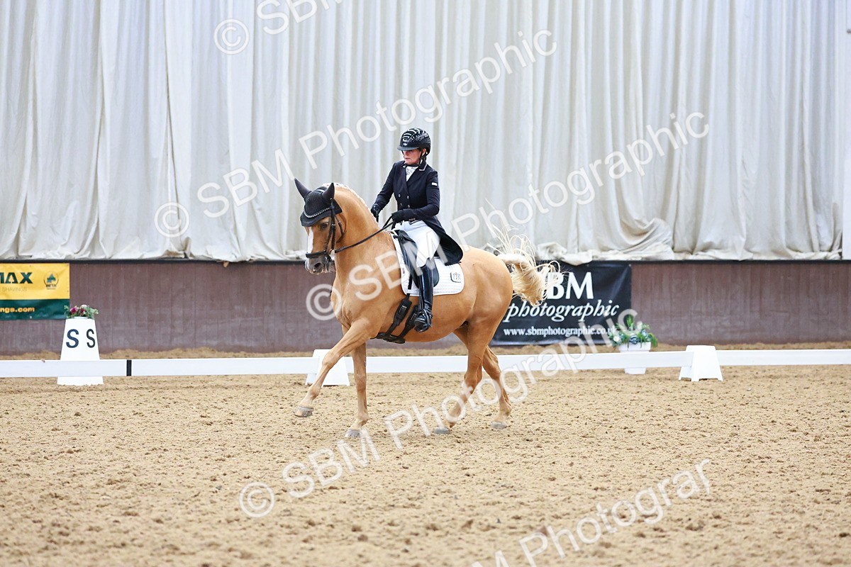SBM_021301 - Class 25 - FEI PSG Bronze