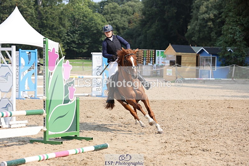 250816A-105421-00894 - Cls 3 Snr British Novice