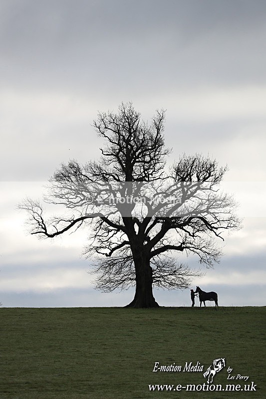 PtP 291224 68 - Harkaway Club PtP Chaddesley Corbett 29/12/24