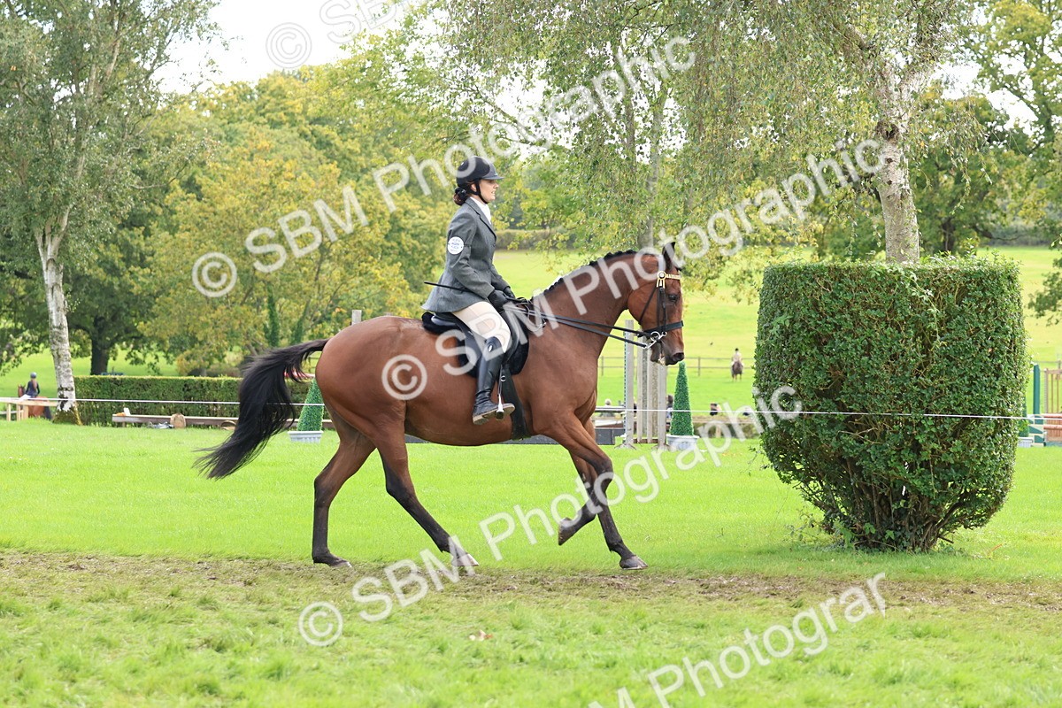 SBM_45217 - S27 - Young Veteran Ridden