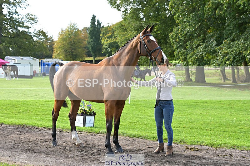 241023-131611-00162 - 057-Louisa.Lockwood-KILCANNON.OREO