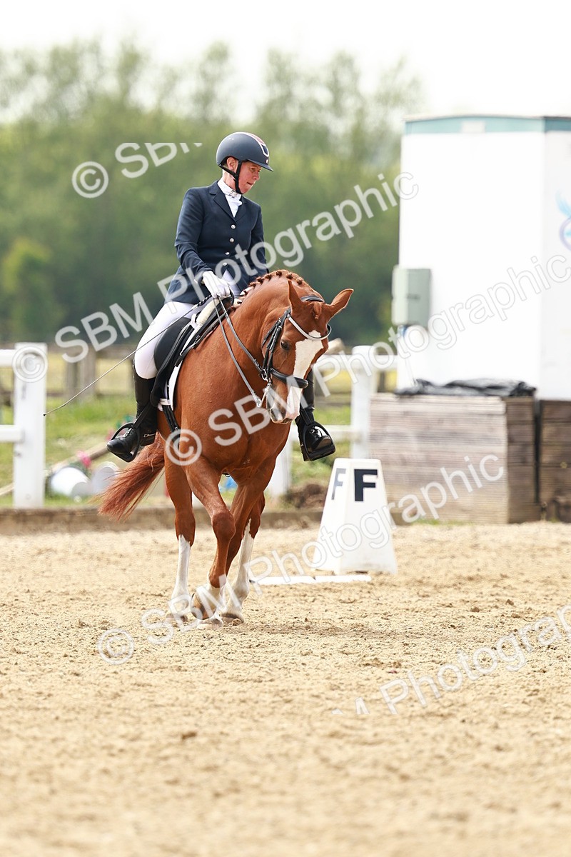 SBM_002870 - Class 12 - Medium 4