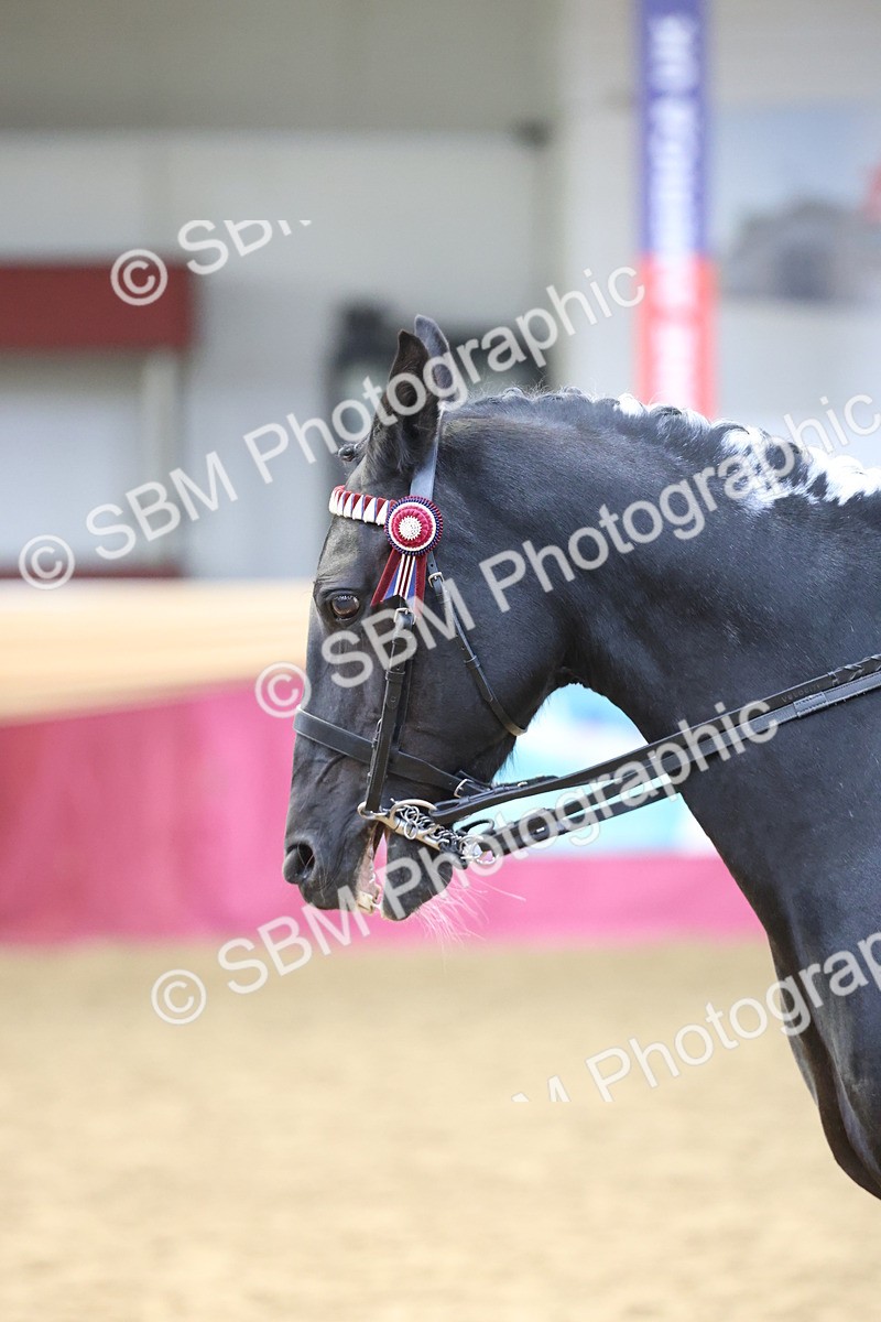 SBM_23644 - class 906 - Supreme Final - Ridden Pre Vet