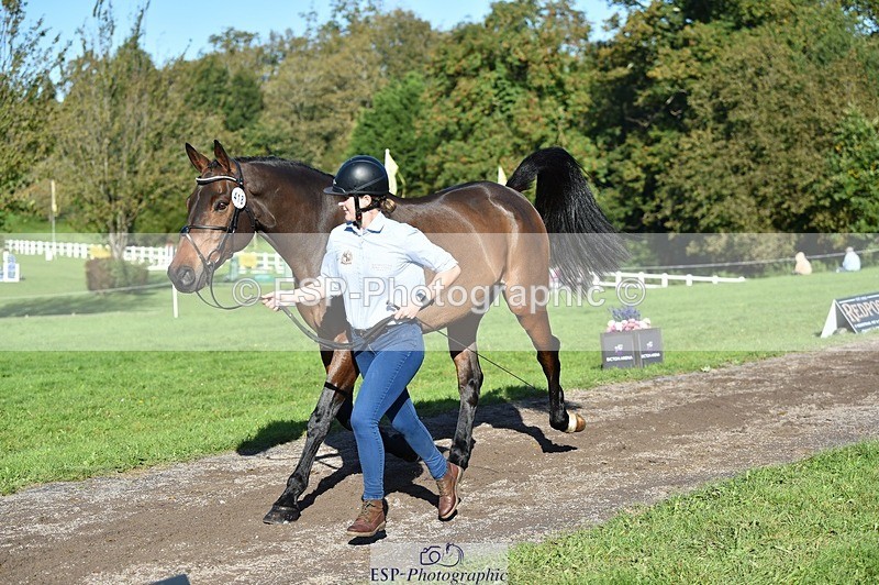 231022-105520-23591 - 418-PENHILL.REX-Lesley.Mitton-TrotUp+SJ