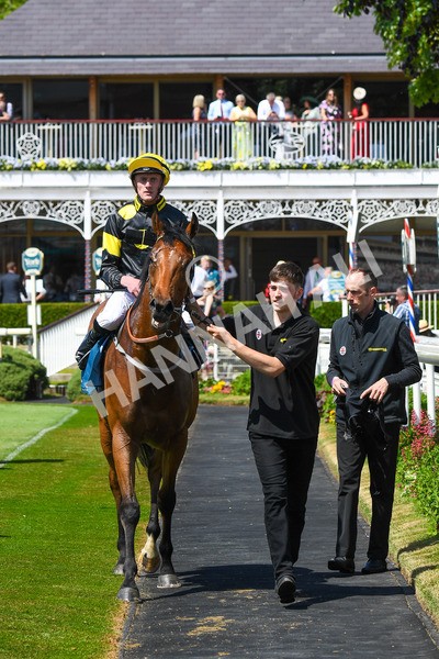 270523-Race 1-Doctor Khan Junior-0205 - Race 1 1.35pm William Hill Keep Your Raceday Positive Handicap