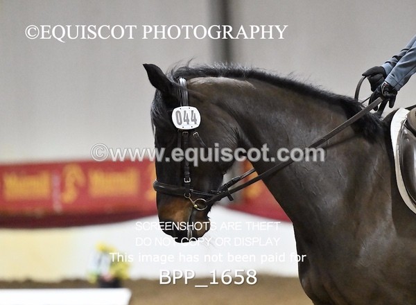 BPP_1658 - PC GRASSROOTS DRESSAGE