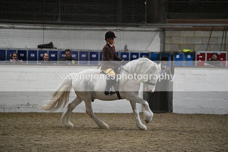 WJ7_4210 - Class 17 Ridden Cob