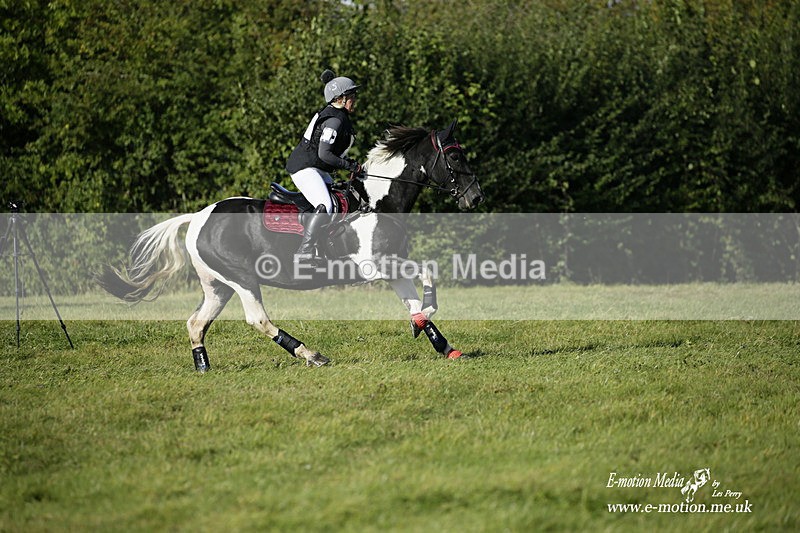  WWHT 031021 1248 - Open Novice (0.80m) 03/10/21