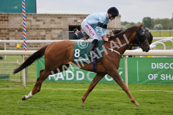 yr13052022r3-22 - Race 3 3.00pm Paddy Power 'I Love Steak' Stakes