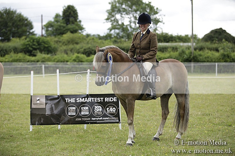 BVR160717-2161 - Ridden Championship 16/07/17