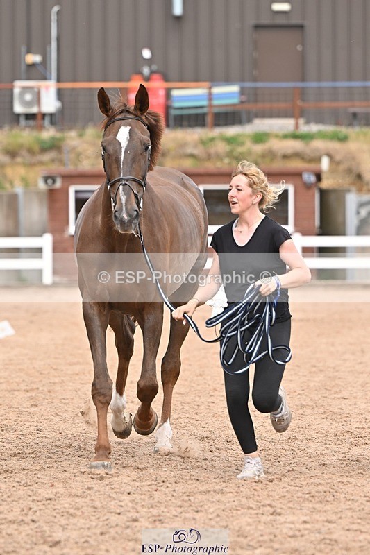 250716-162009-02578 - Trot Up 3.30 to 4.30